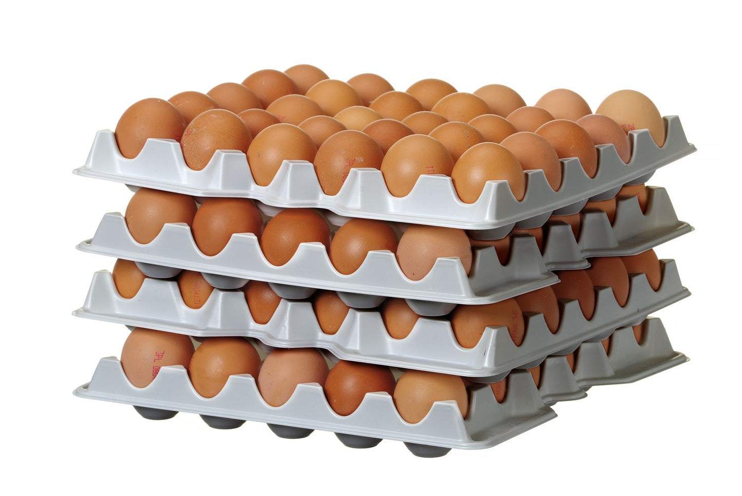 696d93e4871a965eb424f08650265dba