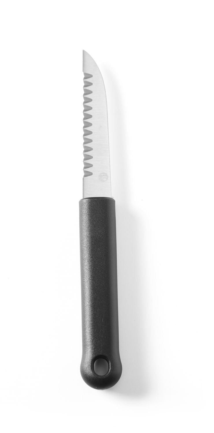 713f194824314bf36e79d1877d554acd